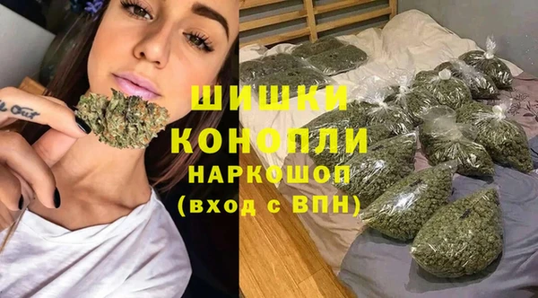 молекула духа Кинешма