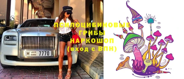 молекула духа Кинешма